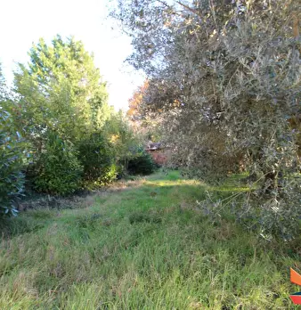 Foto annuncio 33