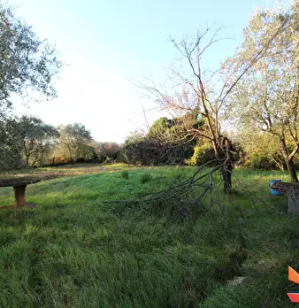 Foto annuncio 30