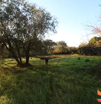 Foto annuncio 31