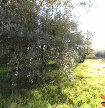 Foto annuncio 32