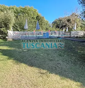 Foto annuncio 42