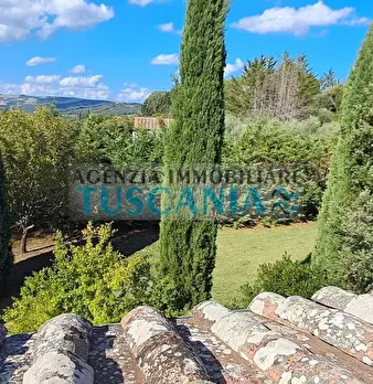 Foto annuncio 27