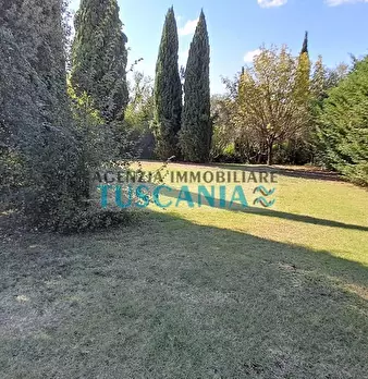 Foto annuncio 29
