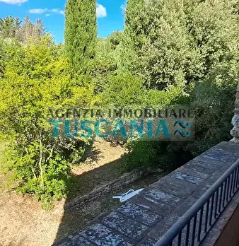 Foto annuncio 21