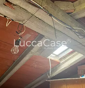 Foto annuncio 31