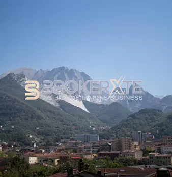 Foto annuncio 36