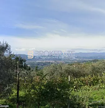Foto annuncio 29