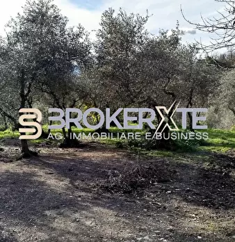 Foto annuncio 25