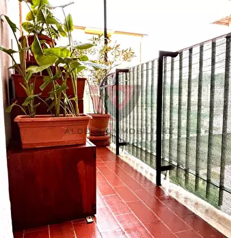 Foto annuncio 7