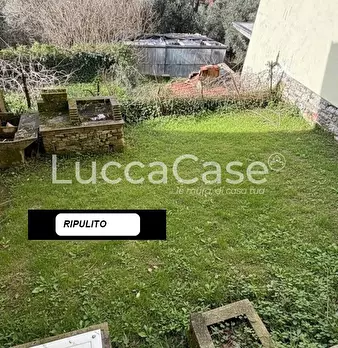 Foto annuncio 47