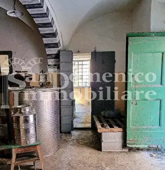 Foto annuncio 15