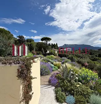 Foto annuncio 110