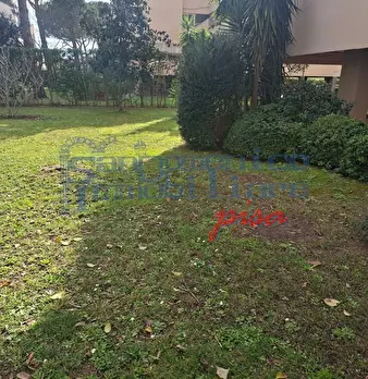 Foto annuncio 4