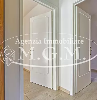 Foto annuncio 12