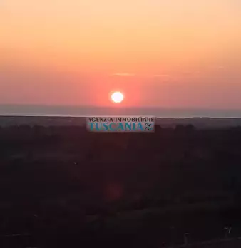 Foto annuncio 36