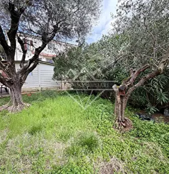 Foto annuncio 18