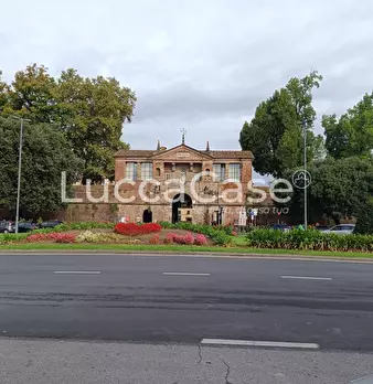Foto annuncio 12
