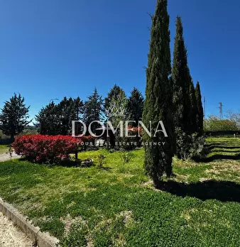 Foto annuncio 35