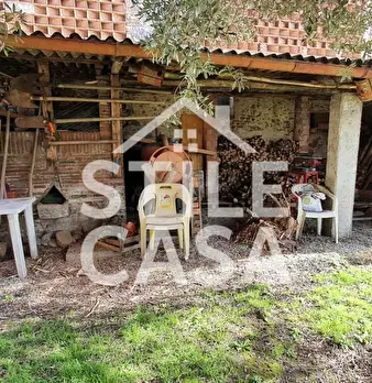 Foto annuncio 5