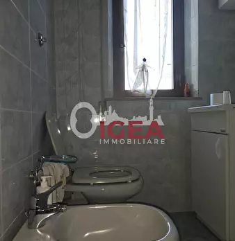 Foto annuncio 55