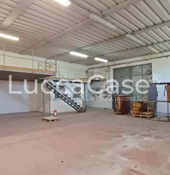 Foto annuncio 11