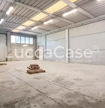 Foto annuncio 12