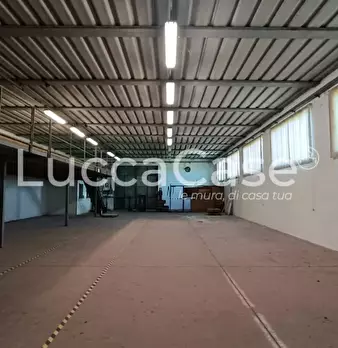 Foto annuncio 9