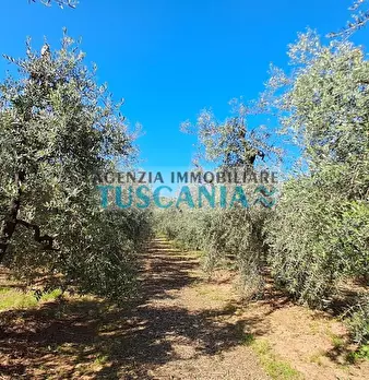 Foto annuncio 18