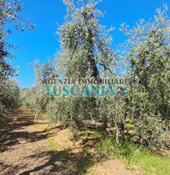 Foto annuncio 13