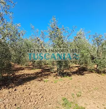 Foto annuncio 14