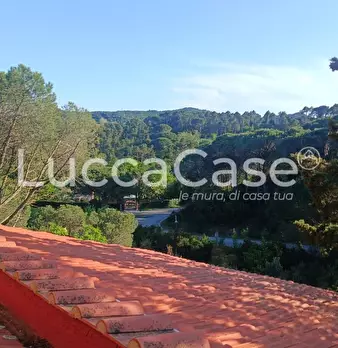 Foto annuncio 16