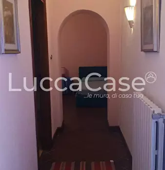 Foto annuncio 12