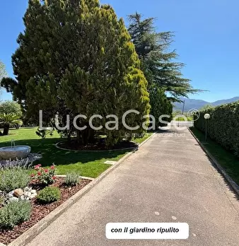 Foto annuncio 14