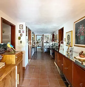 Foto annuncio 43