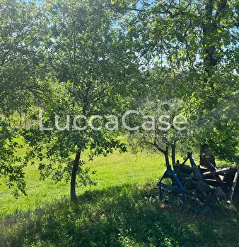 Foto annuncio 16