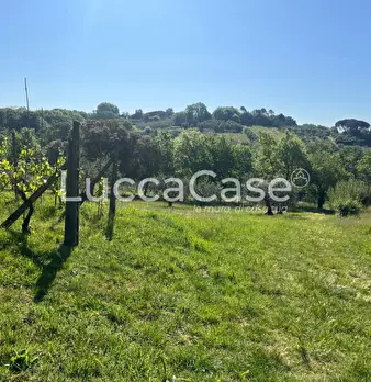 Foto annuncio 18