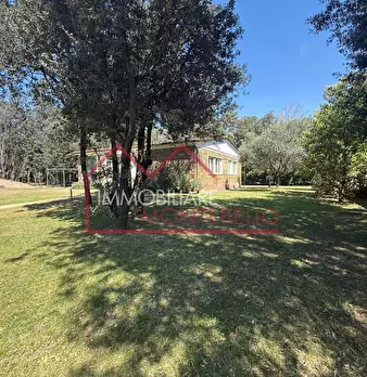 Foto annuncio 42