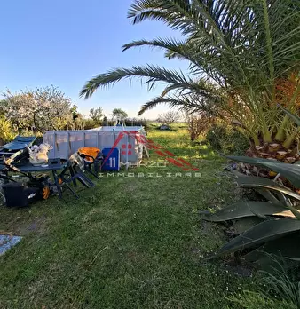 Foto annuncio 12