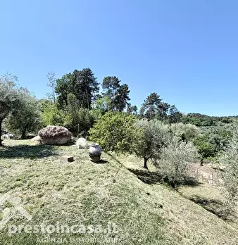 Foto annuncio 49