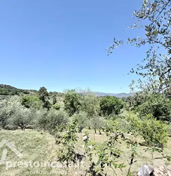 Foto annuncio 51