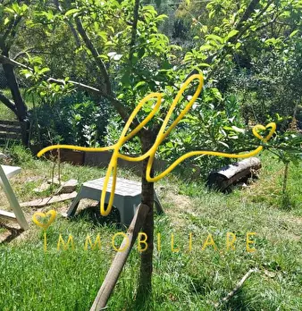 Foto annuncio 54