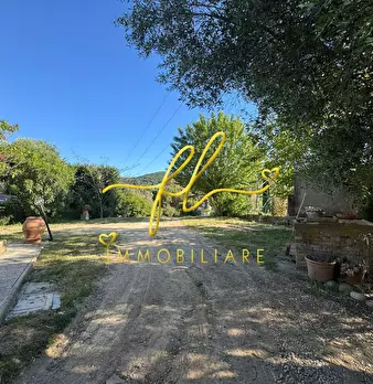 Foto annuncio 13