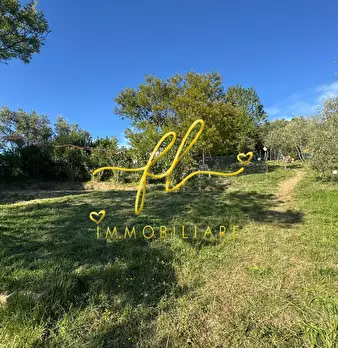 Foto annuncio 5