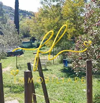 Foto annuncio 50