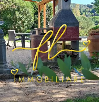 Foto annuncio 42