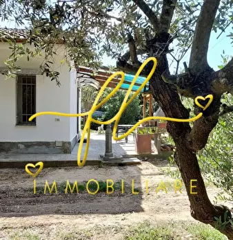 Foto annuncio 40