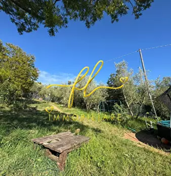Foto annuncio 10