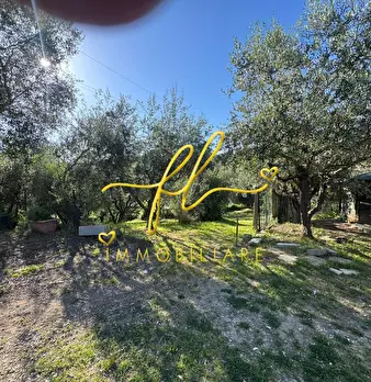 Foto annuncio 12