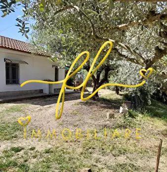 Foto annuncio 41