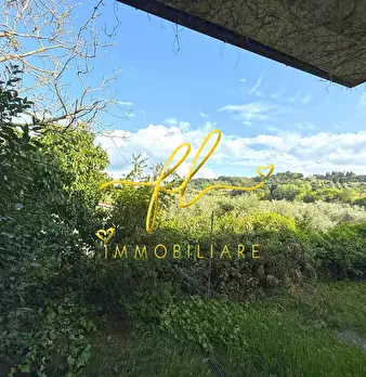 Foto annuncio 29